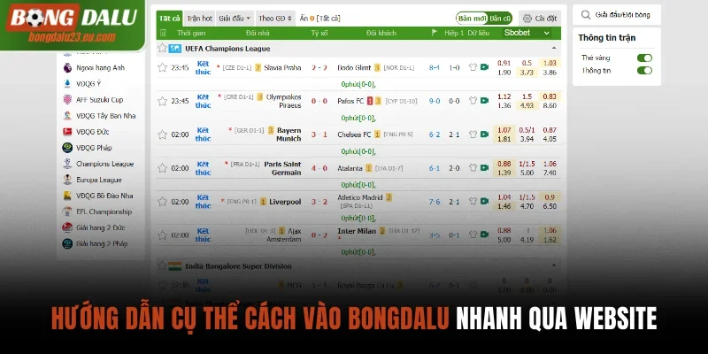 Hướng dẫn cụ thể cách vào Bongdalu nhanh qua website