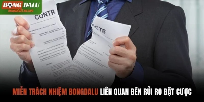 Miễn trách nhiệm đối với các rủi ro liên quan đến cá cược