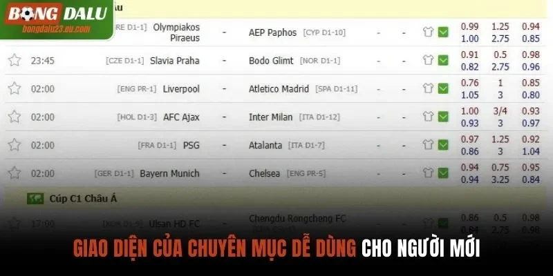 Giao diện của chuyên mục dễ dùng cho người mới