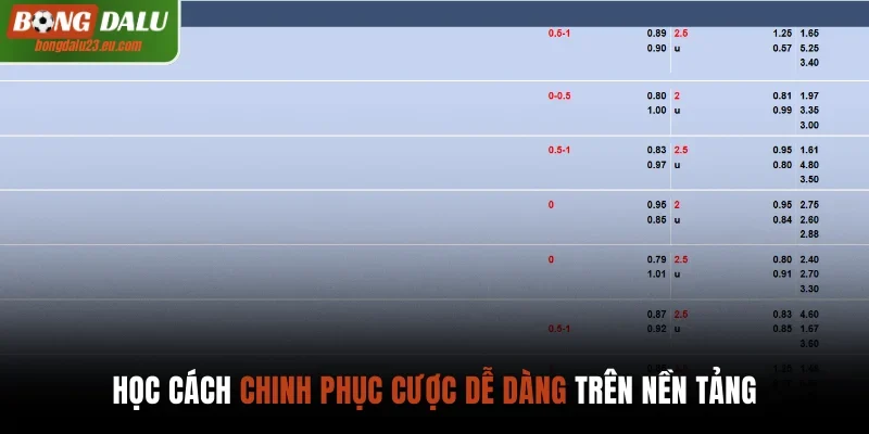 Học cách chinh phục cược dễ dàng trên nền tảng