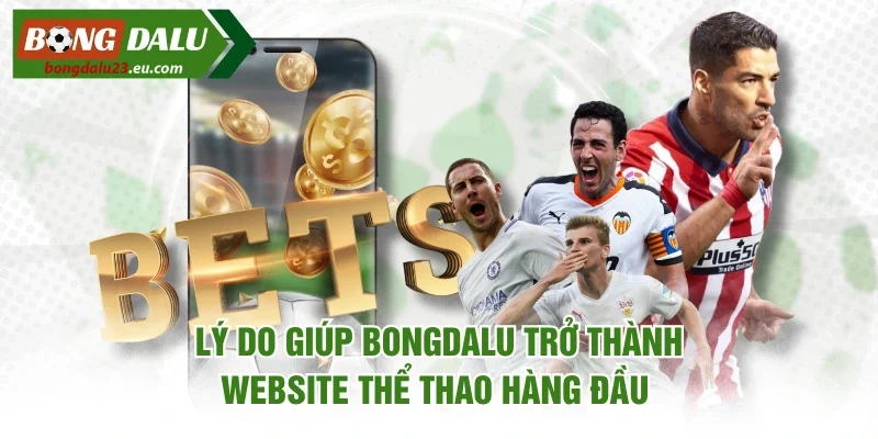 Lý do giúp Bongdalu trở thành website thể thao hàng đầu