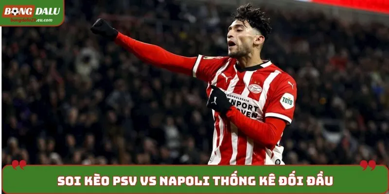 Soi kèo PSV vs Napoli khi thống kê kết quả đối đầu