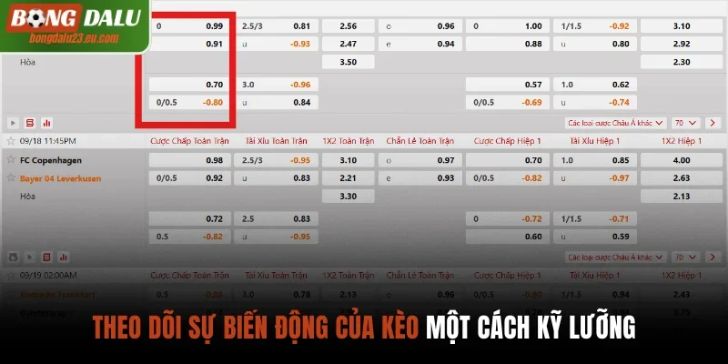 Theo dõi sự biến động của kèo một cách kỹ lưỡng