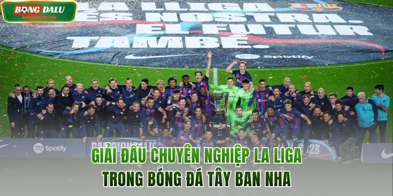 Giải La Liga trong bóng đá Tây Ban Nha